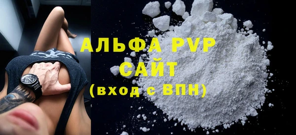 стаф Архангельск