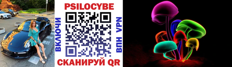 где купить наркотик  дарк нет как зайти  Галлюциногенные грибы Psilocybe  Амурск 
