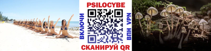 Псилоцибиновые грибы Psilocybe Амурск