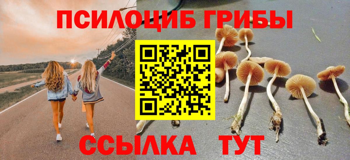 Галлюциногенные грибы GOLDEN TEACHER  Псилоцибиновые грибы Cubensis  Вход с VPN  Амурск 